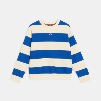 سويت شيرت مقلم أزرق للأولاد